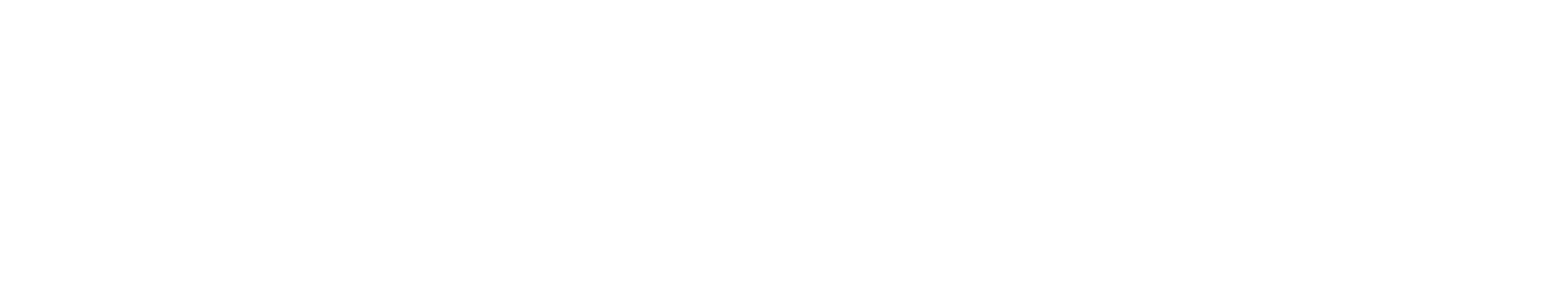 THE PLNR